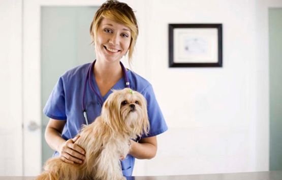 Veterinaria con perro