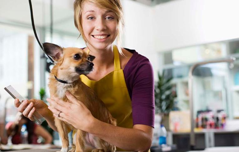 Mujer peinando perro